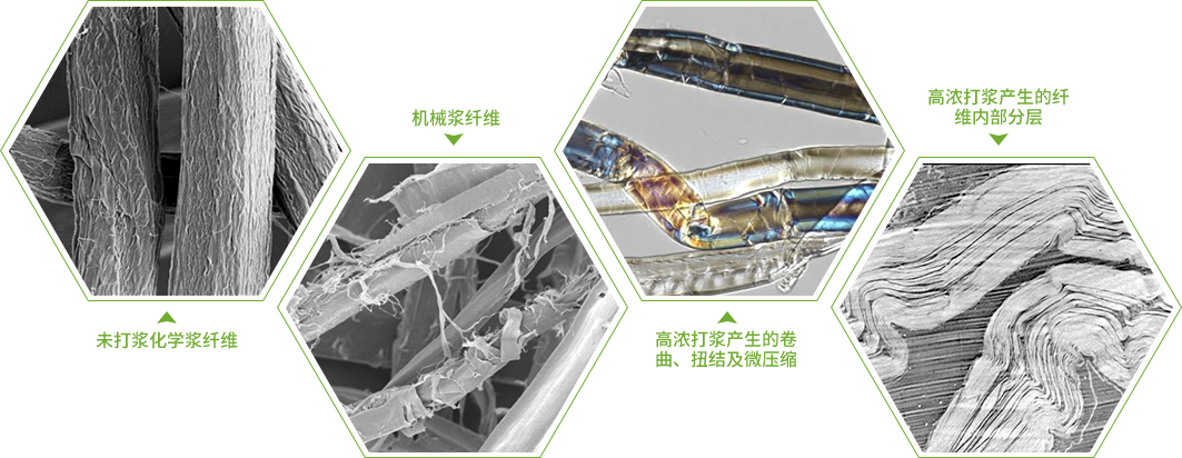 高浓打浆对纤维表面及内部结构的影响