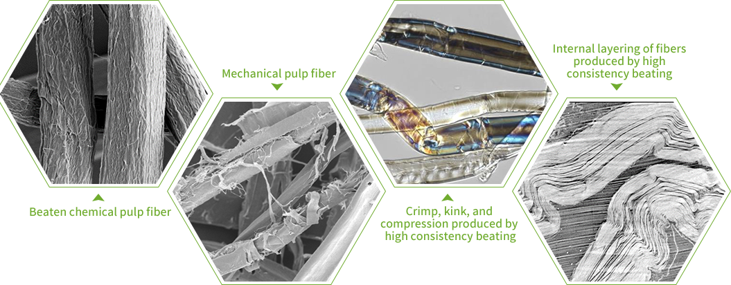 High Consistency Refining Effects on Fiber Surface and Internal Structure