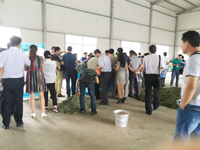 The green feed refining system of Genda Fiber Tech is running in Zhuzhou Sangtai's mulberry refining line